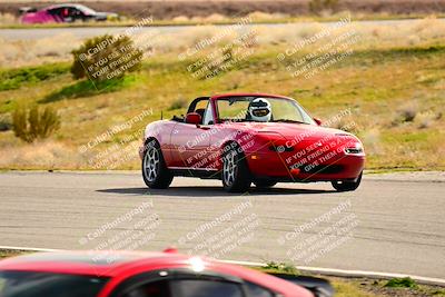 media/Feb-17-2024-Extreme Speed (Sat) [[f2f02d613c]]/Green Group/Session 3 (Turn 4)/